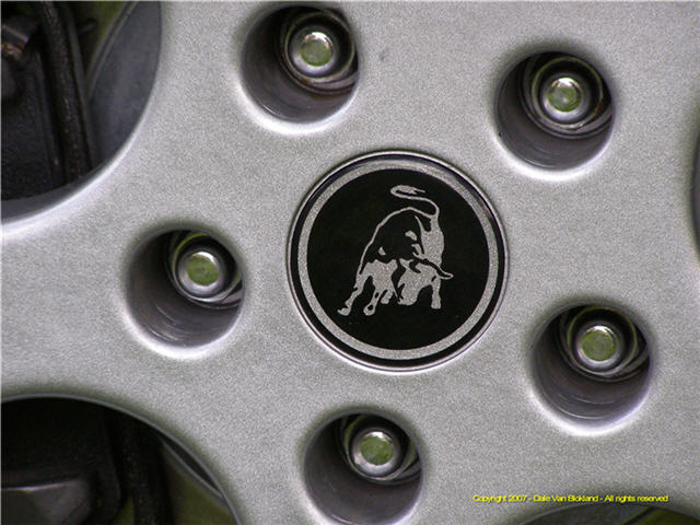 Model and Lamborghini